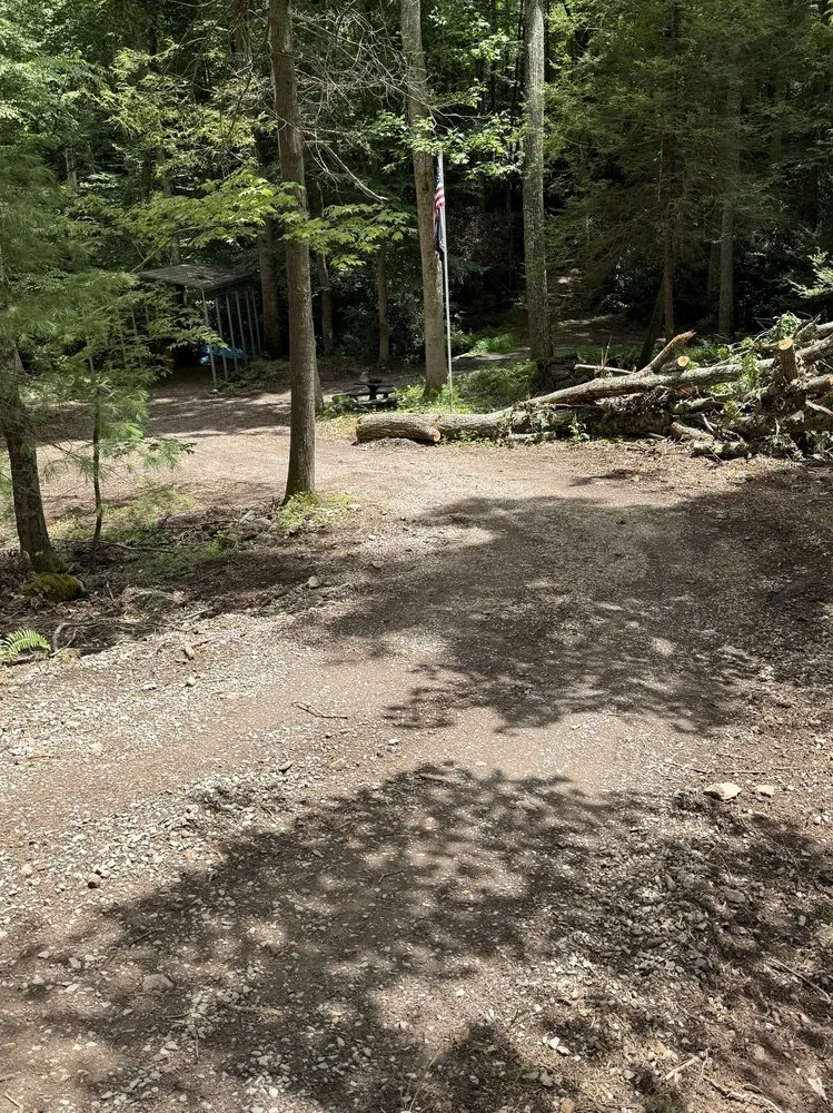 Local lawn care service in Louisa, VA by Work Hard Play Hard Tree and Landscaping Services