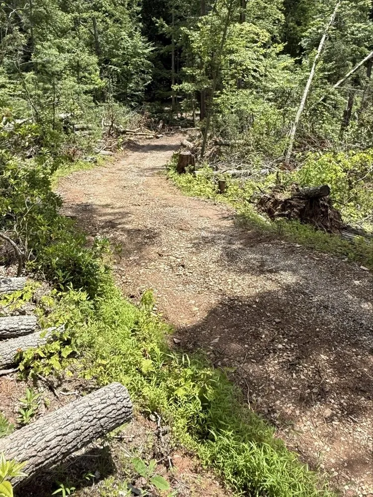 Local lawn care service near you across Louisa, VA - Work Hard Play Hard Tree and Landscaping Services