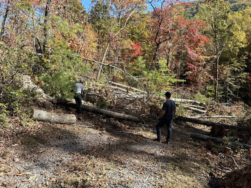 Reliable yard cleanup service in Louisa, VA by Work Hard Play Hard Tree and Landscaping Services