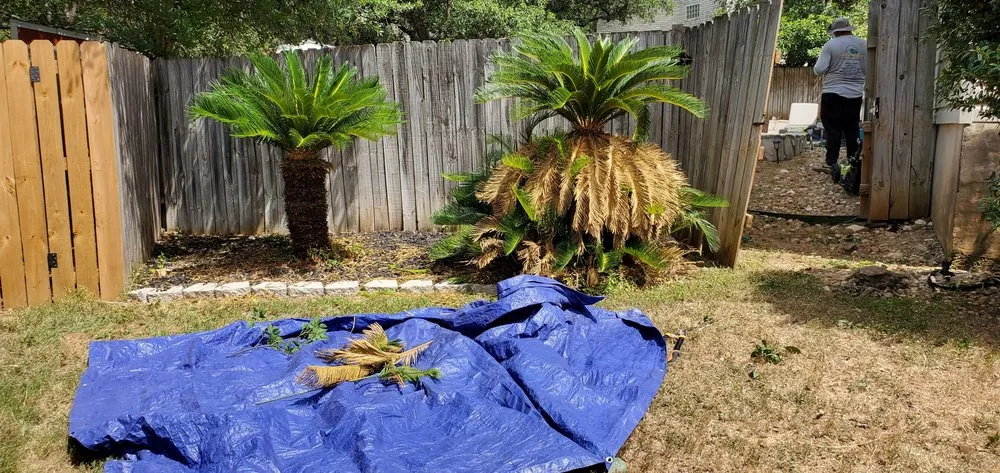 Trusted landscape design with custom design in Converse, TX by Work in Wisdom Services