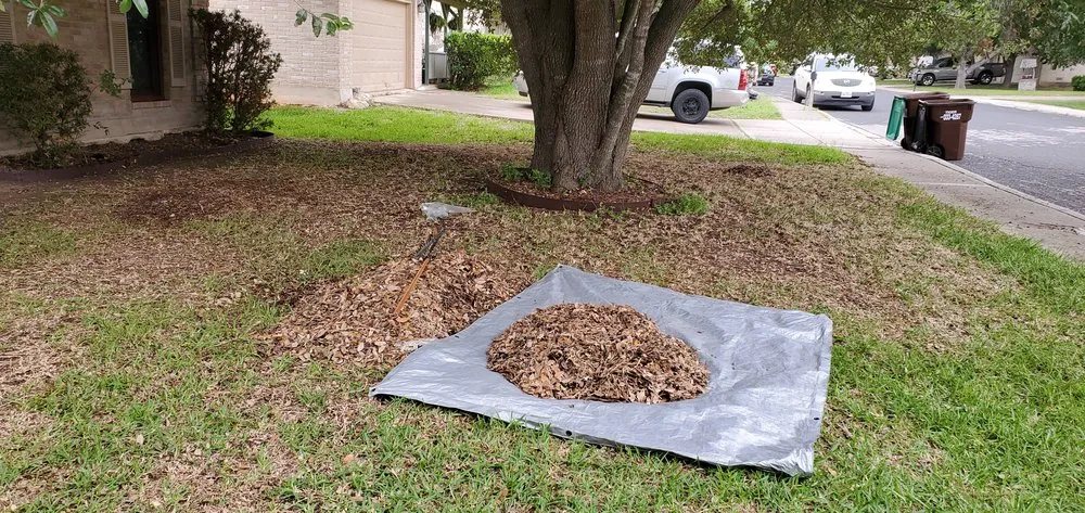 Expert yard cleanup service for residential properties across Converse, TX - Work in Wisdom Services