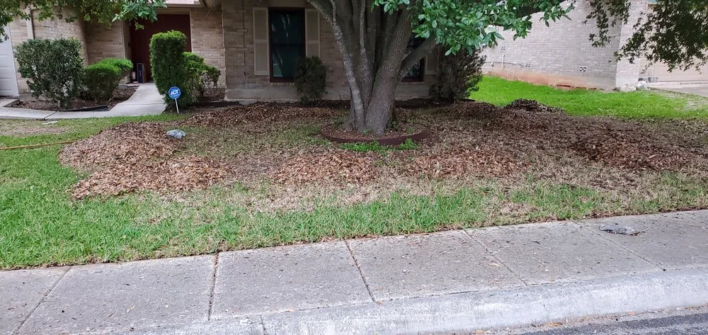 Reliable landscaping services for beautiful yards in Converse, TX by Work in Wisdom Services