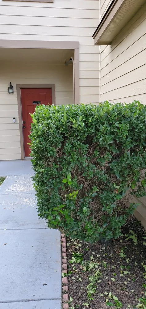 Professional residential landscaping for homes across Converse, TX - Work in Wisdom Services