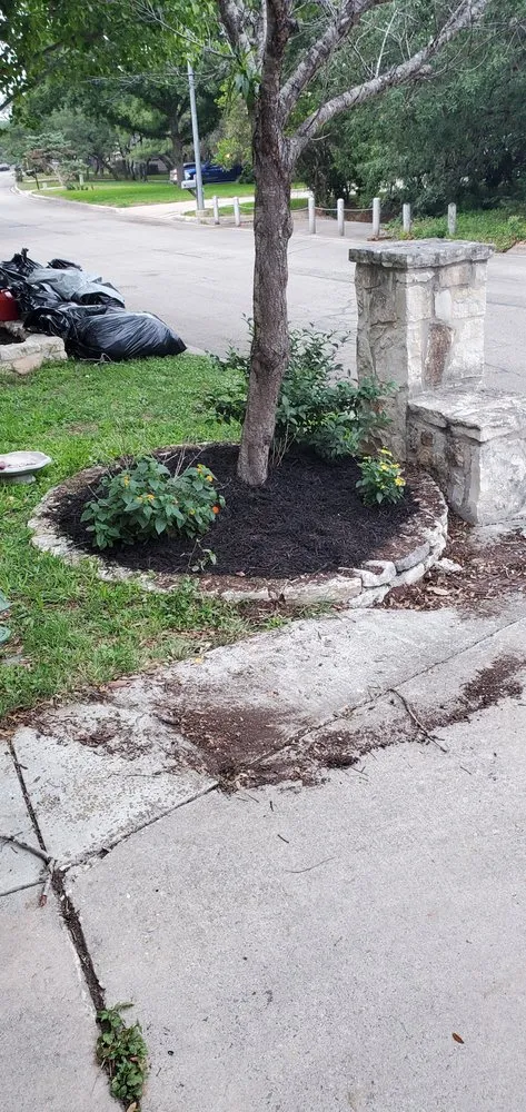 Top-rated yard maintenance for residential properties across Converse, TX - Work in Wisdom Services