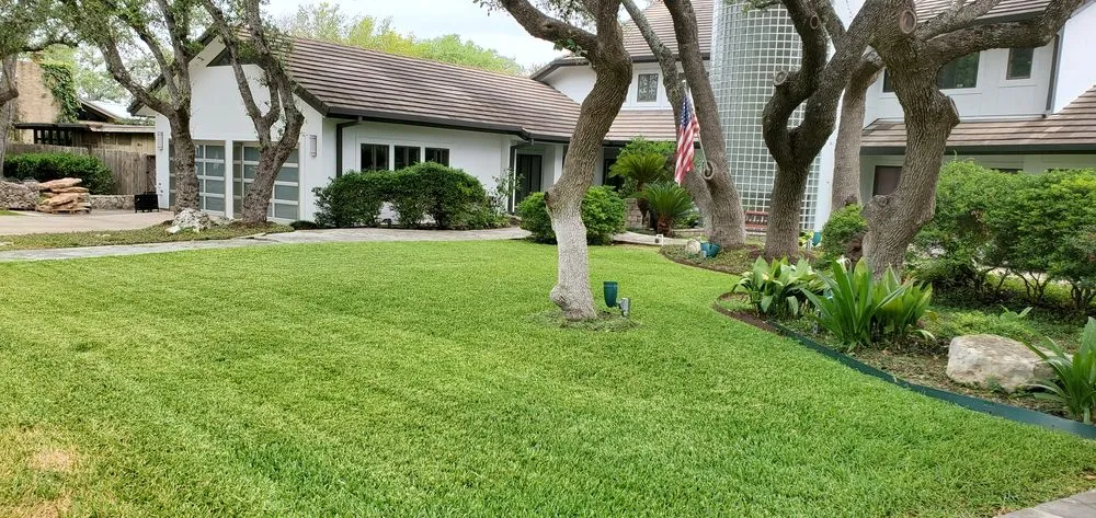 Local lawn care service in Converse, TX by Work in Wisdom Services