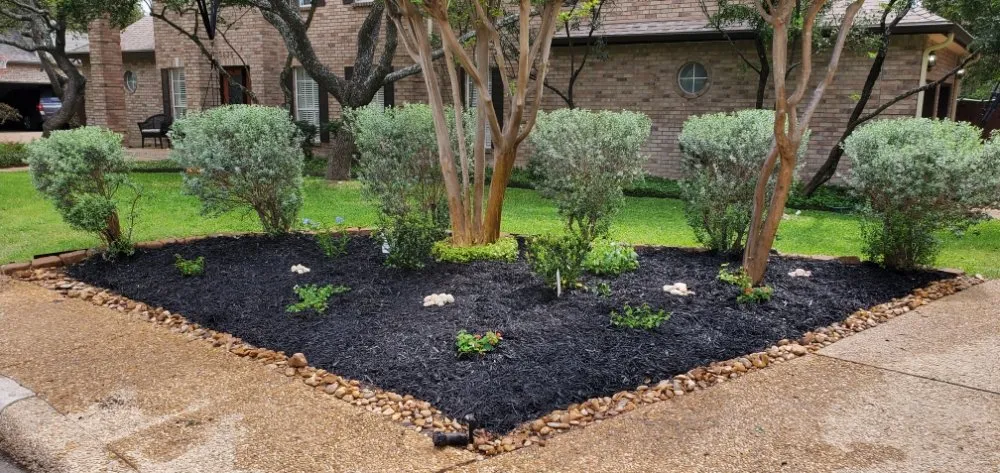 Reliable landscaping services in Converse, TX by Work in Wisdom Services