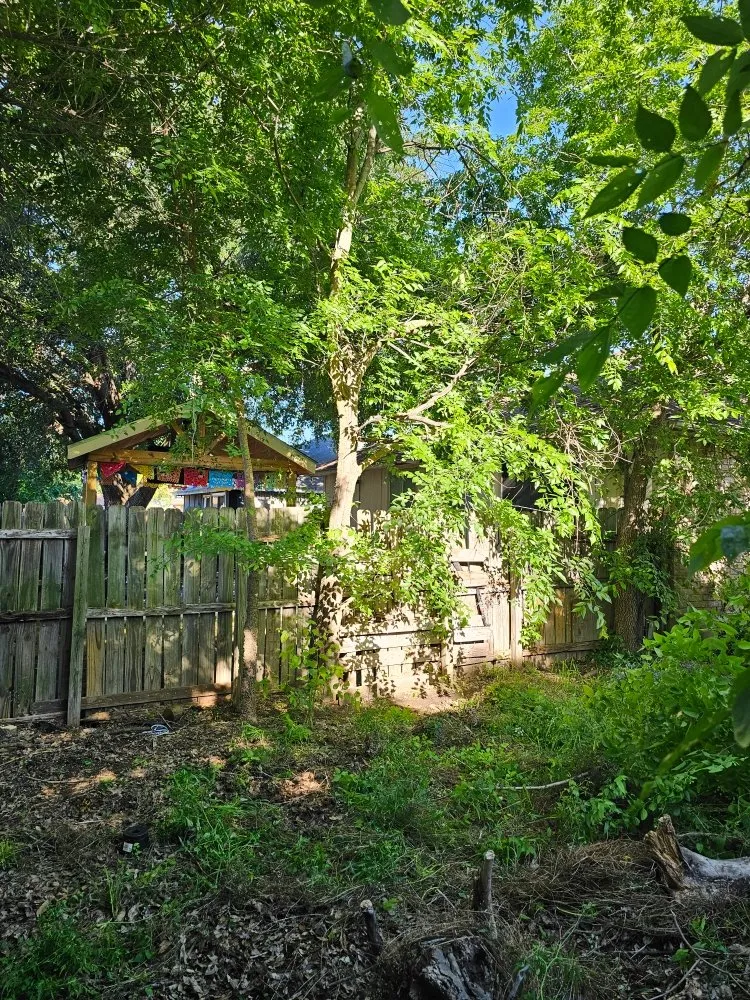 Top-rated lawn care service near you across Converse, TX - Work in Wisdom Services