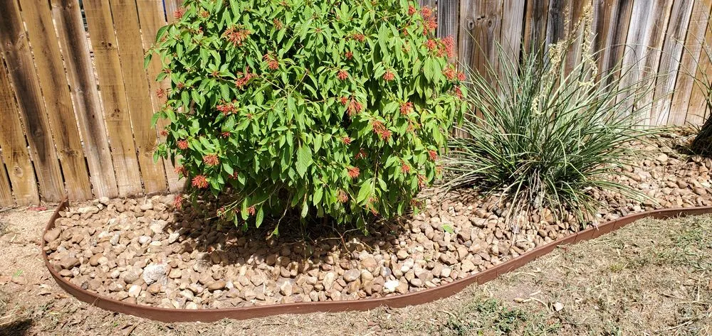 Local landscape installation experts serving Converse, TX - Work in Wisdom Services