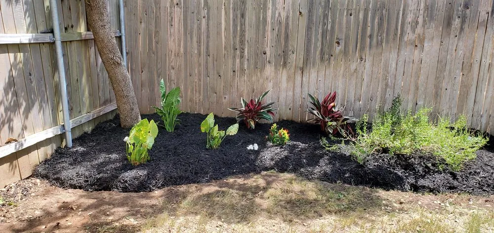 Reliable lawn care service in Converse, TX by Work in Wisdom Services