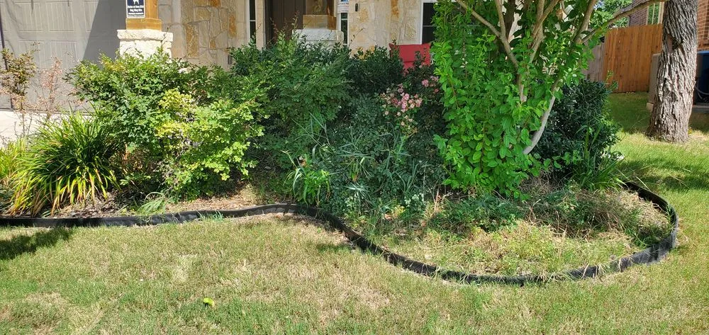 Top-rated yard cleanup service in Converse, TX by Work in Wisdom Services