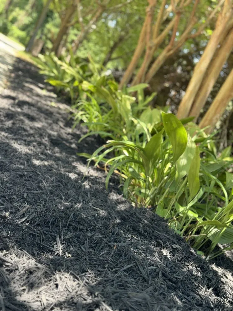 Custom landscape design experts serving McDonough, GA - Work Junkies