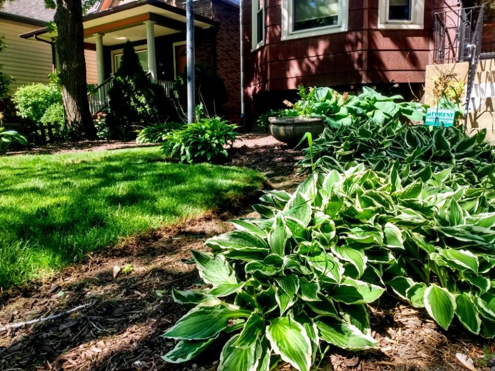 Top-rated landscape design in Oak Park, IL - Work My Property