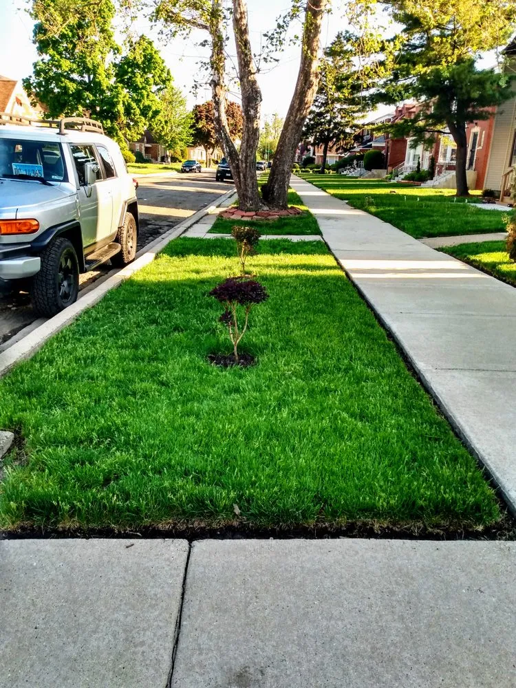 Expert residential landscaping experts serving Oak Park, IL - Work My Property