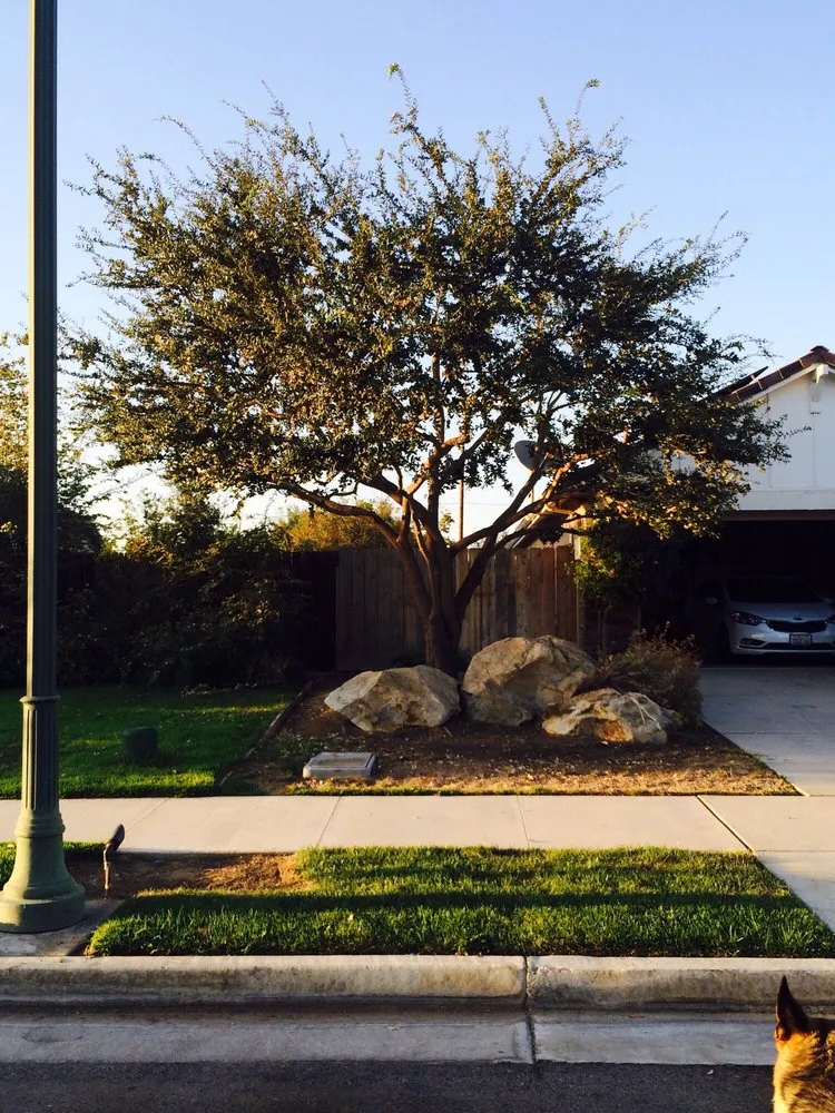 Top-rated yard maintenance in Visalia, CA - Work of Art Landscape