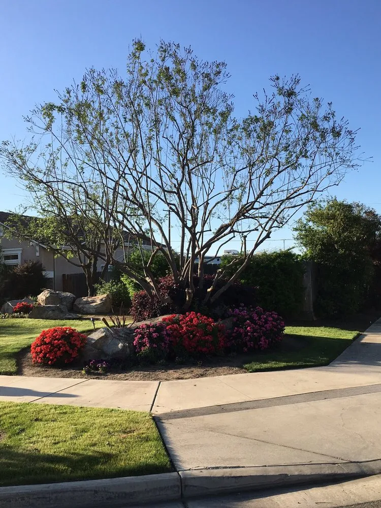 Trusted yard maintenance with custom design across Visalia, CA - Work of Art Landscape