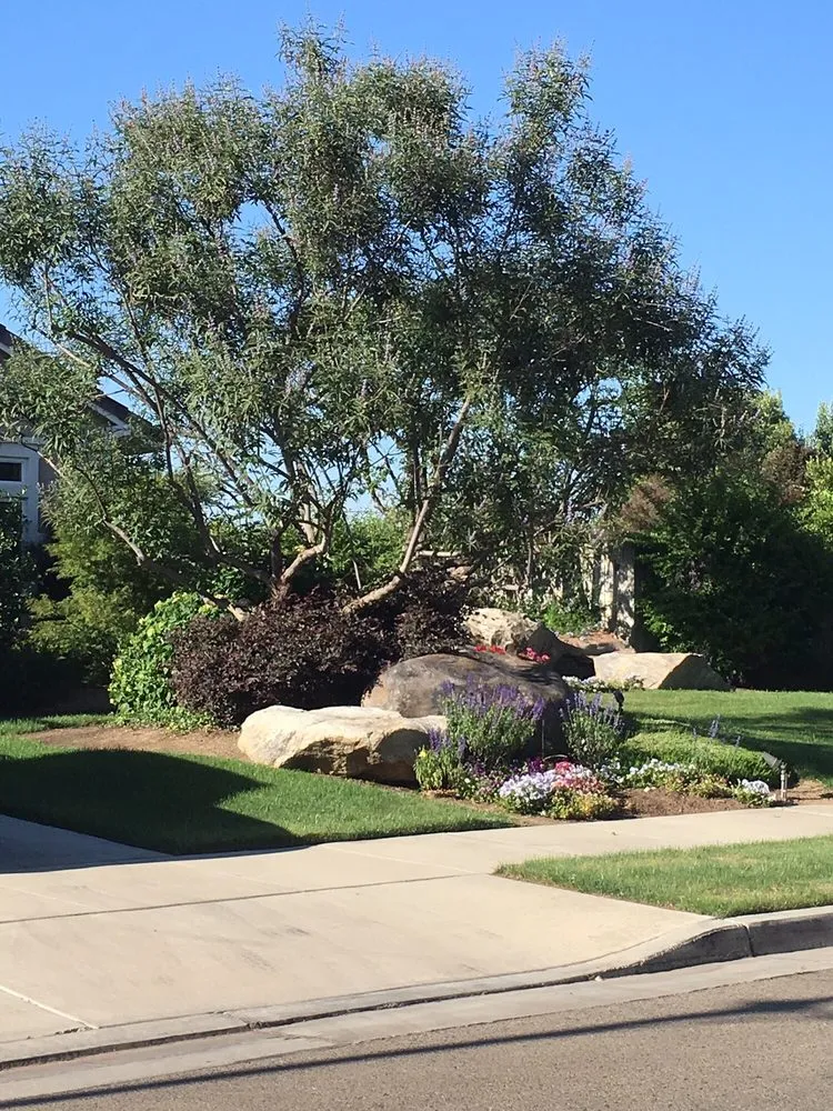 Affordable landscaping services in Visalia, CA - Work of Art Landscape