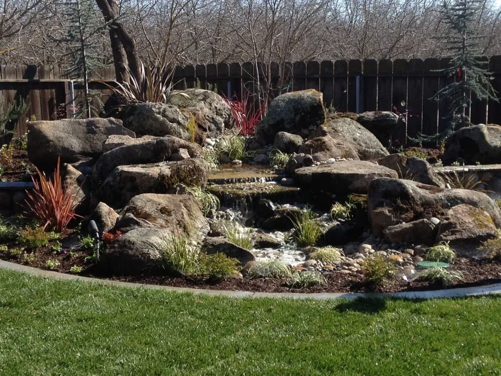 Professional lawn care service experts serving Visalia, CA - Work of Art Landscape