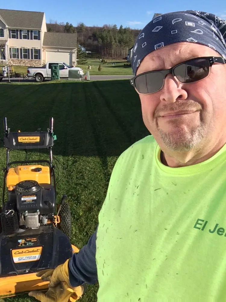 Top-rated landscaping services experts serving Fayetteville, NY - Worker Bee Landscaping and Lawn Care