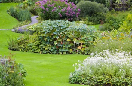 Affordable lawn mowing service for residential properties across Fayetteville, NY - Worker Bee Landscaping and Lawn Care