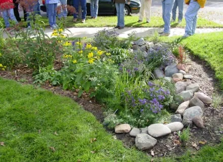 Expert landscaping services experts serving Fayetteville, NY - Worker Bee Landscaping and Lawn Care