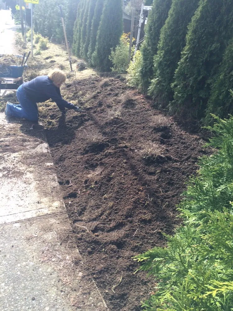 Trusted yard maintenance for homes in Fayetteville, NY by Worker Bee Landscaping and Lawn Care