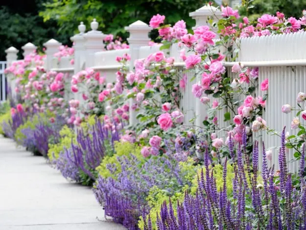 Affordable yard cleanup service experts serving Fayetteville, NY - Worker Bee Landscaping and Lawn Care