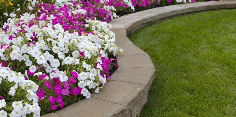 Professional lawn care service experts serving Fayetteville, NY - Worker Bee Landscaping and Lawn Care