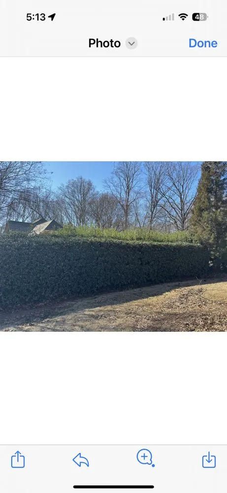 Trusted residential landscaping in Spartanburg, SC - Worker B's Lawn Care