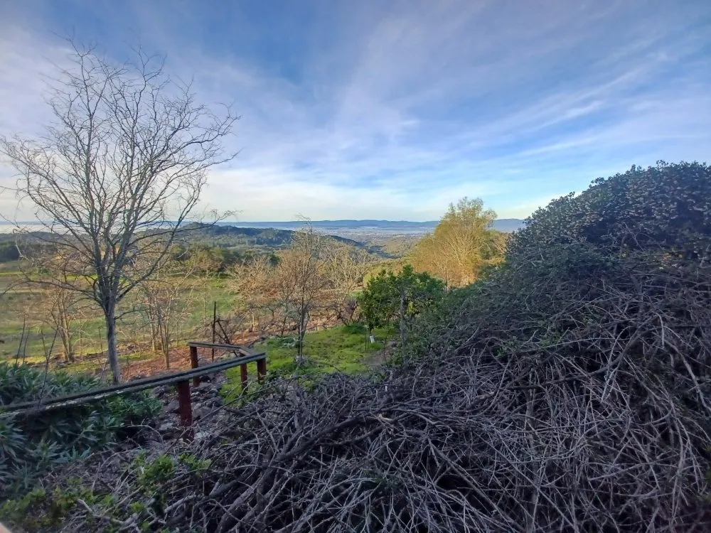 Affordable landscape design for residential properties across Santa Rosa, CA - Workerbees Landservice