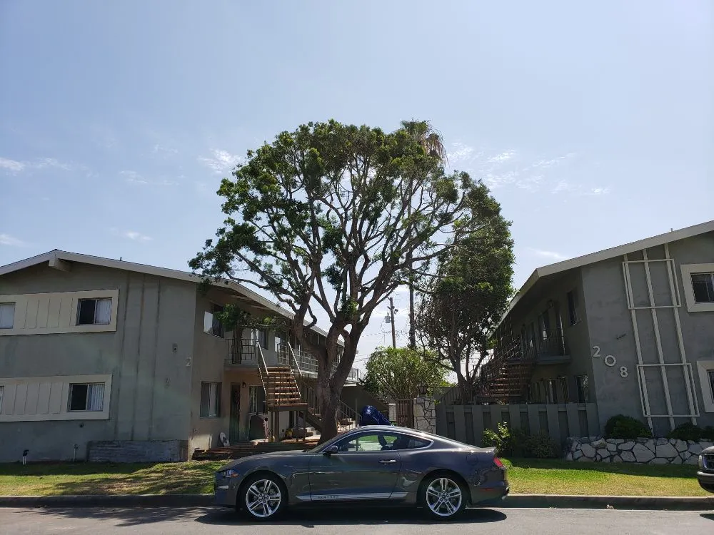 Reliable landscape installation for beautiful yards in Santa Ana, CA by WorkGrove Landscape & Tree Care