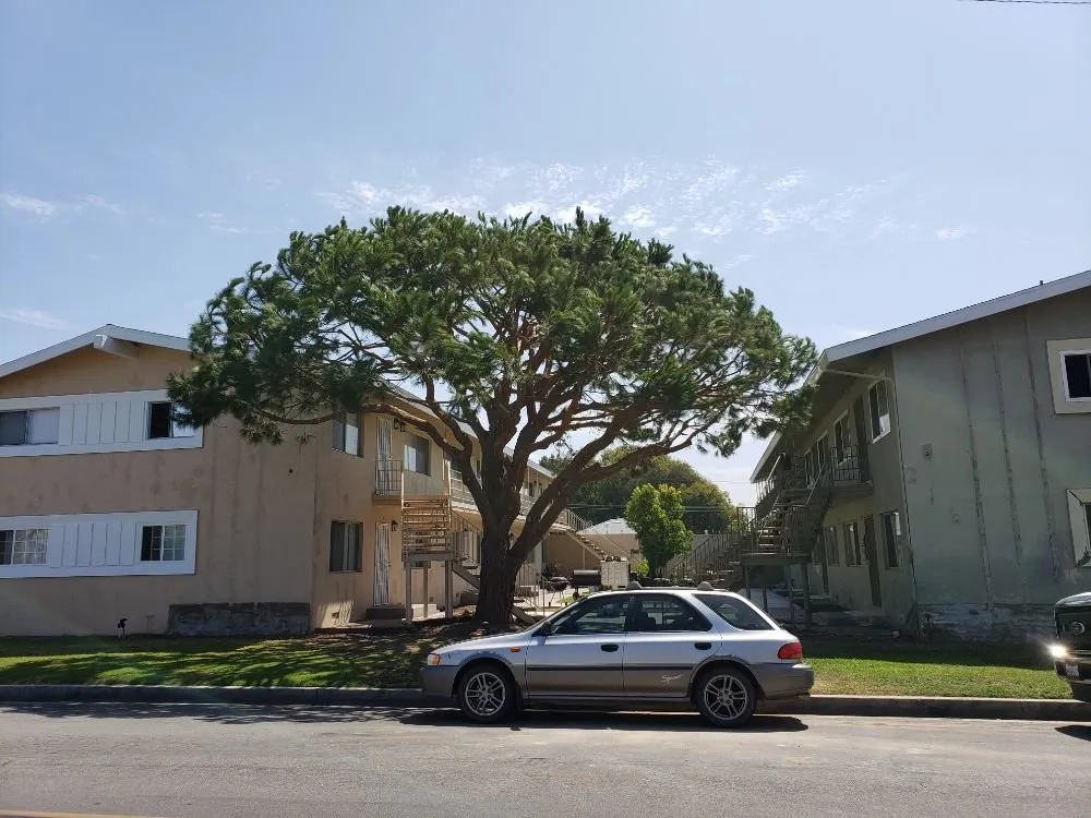 Reliable lawn care service for homes across Santa Ana, CA - WorkGrove Landscape & Tree Care