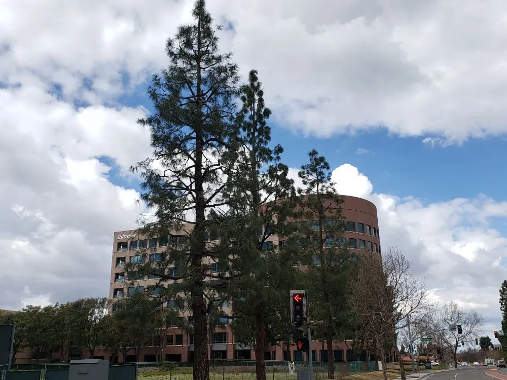 Local yard cleanup service in Santa Ana, CA by WorkGrove Landscape & Tree Care