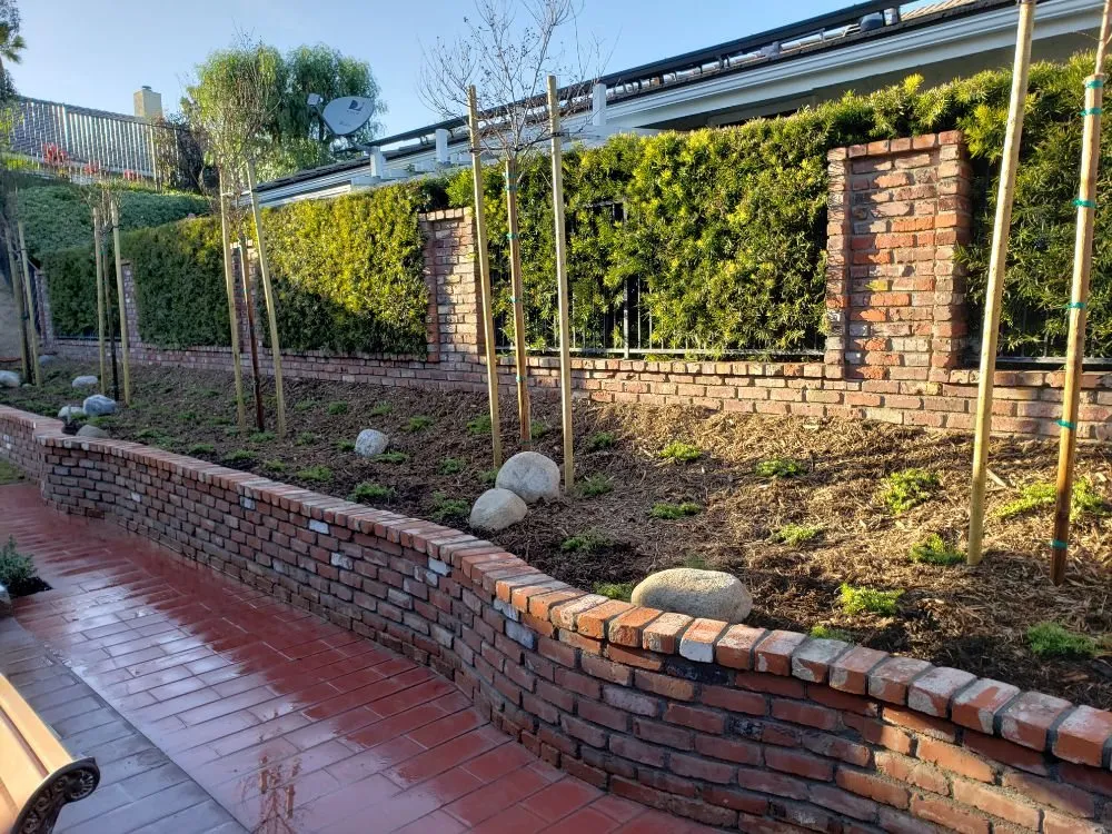 Trusted lawn mowing service for outdoor upgrades across Santa Ana, CA - WorkGrove Landscape & Tree Care