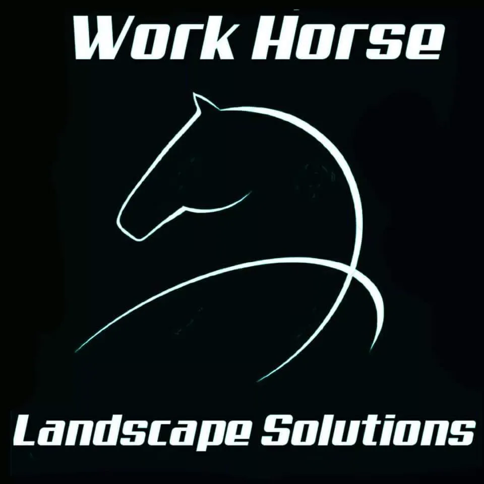 Professional yard maintenance in Yoakum, TX - Workhorse Landscape Solutions