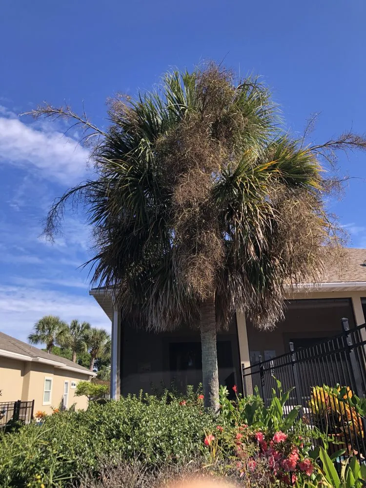 Professional landscape design experts serving DeFuniak Springs, FL - Workhorse Landscaping & property maintenance