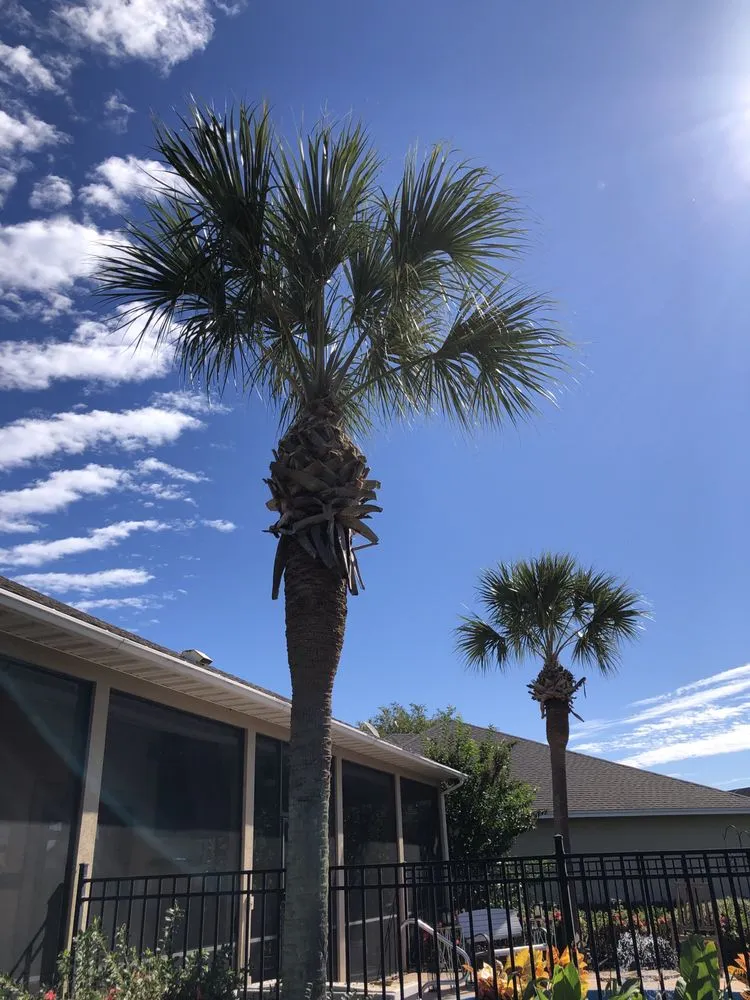 Custom outdoor landscaping in DeFuniak Springs, FL by Workhorse Landscaping & property maintenance