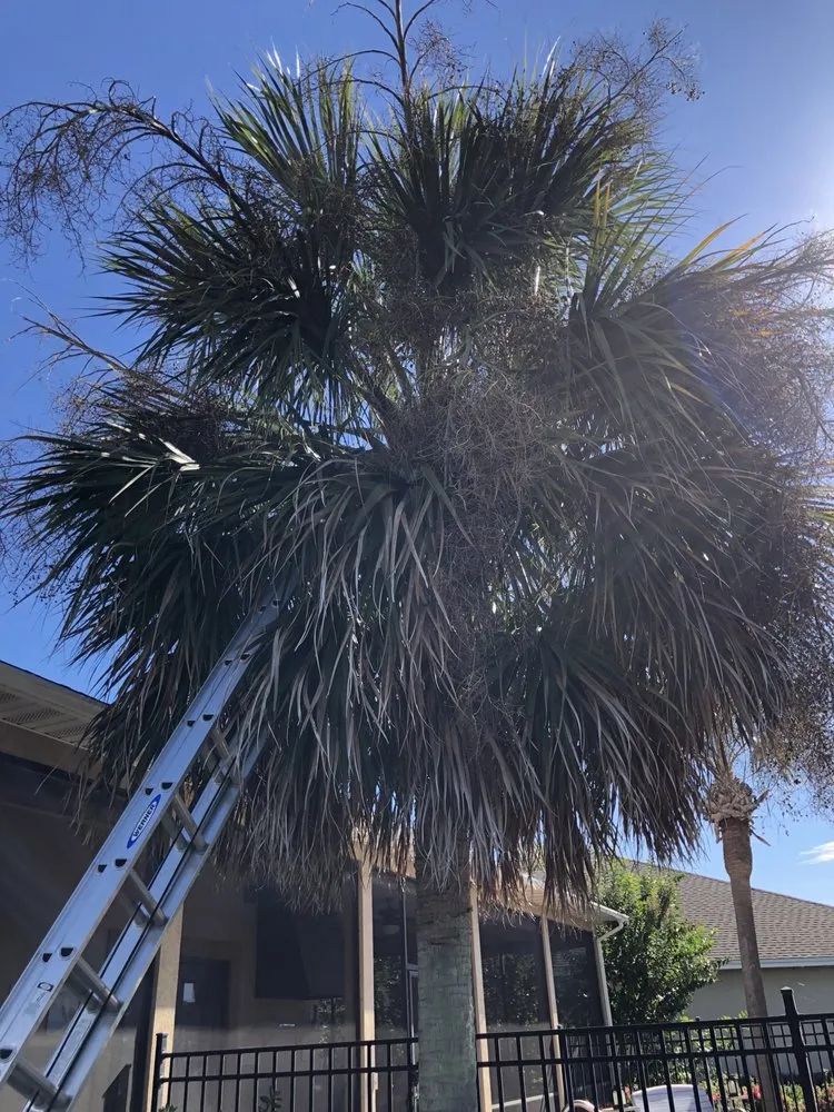 Expert lawn care service for homes across DeFuniak Springs, FL - Workhorse Landscaping & property maintenance