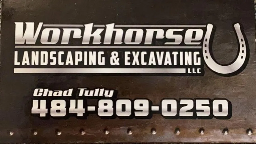 Custom yard cleanup service in Northampton, PA by Workhorse Landscaping and Excavating