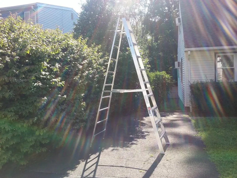 Expert landscaping services in Clifton, NJ by Workhorse Landscaping