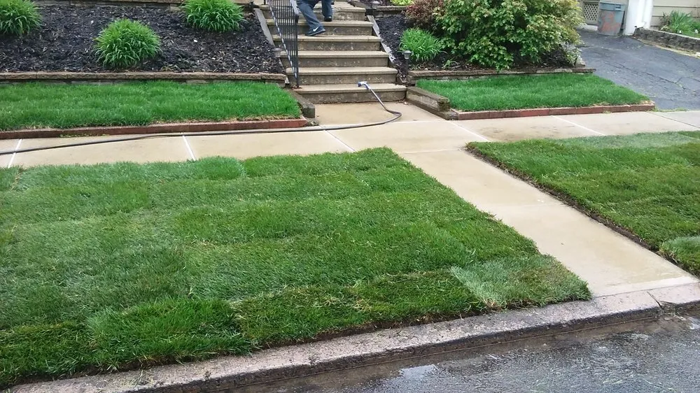 Custom yard cleanup service in Clifton, NJ - Workhorse Landscaping