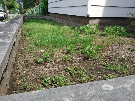 Workhorse Landscaping