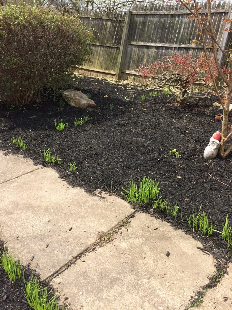 Top-rated residential landscaping for year-round maintenance across Philadelphia, PA - Workhorse Landscaping