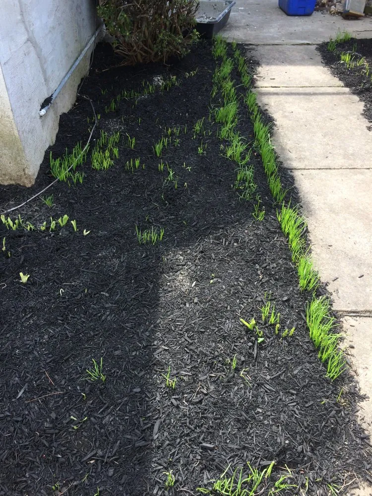 Reliable lawn mowing service in Philadelphia, PA - Workhorse Landscaping