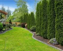 Affordable outdoor landscaping in Elizabeth City, NC - Workhorse LCPM