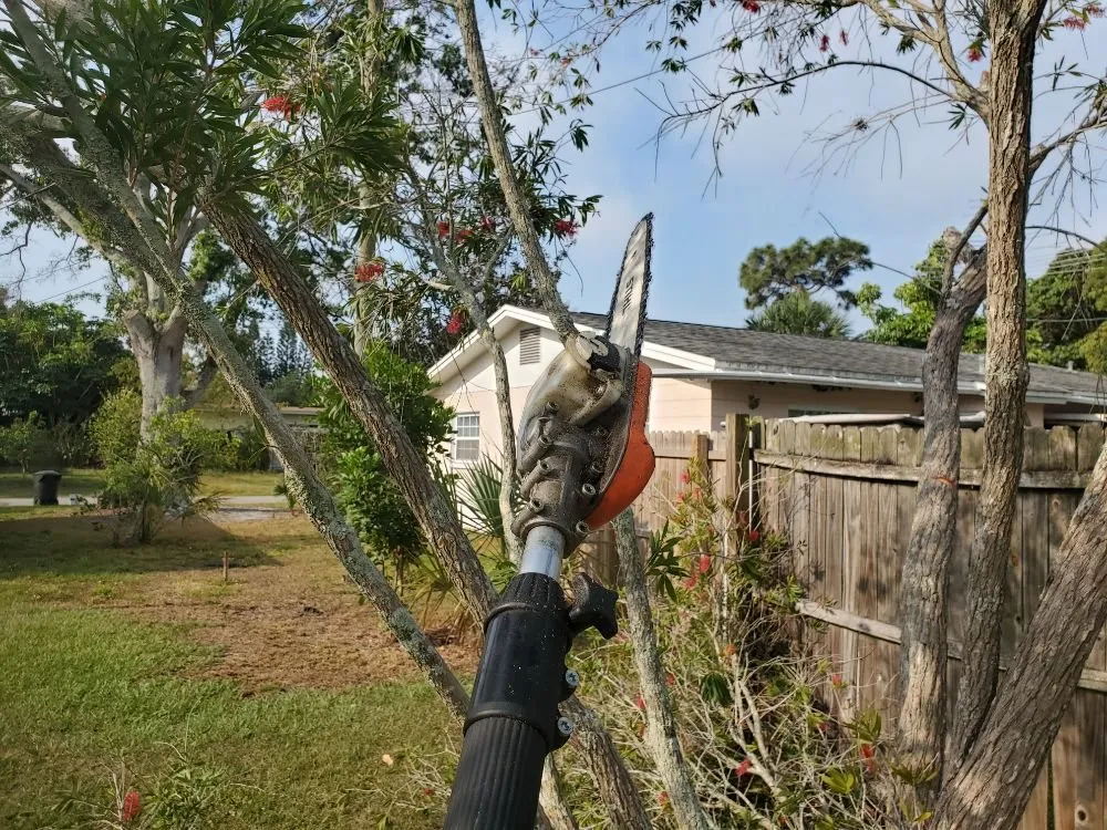 Local landscape design for year-round maintenance in Brandon, FL by Working Tools