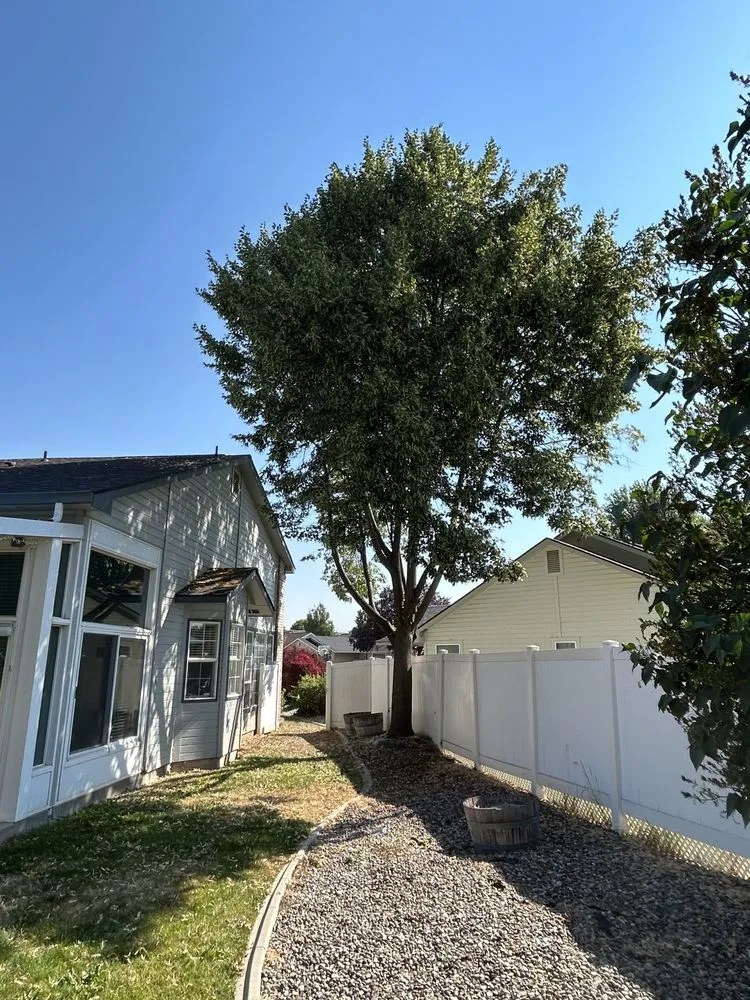 Trusted landscape installation for outdoor upgrades in Nampa, ID by Workman Tree and Landscaping