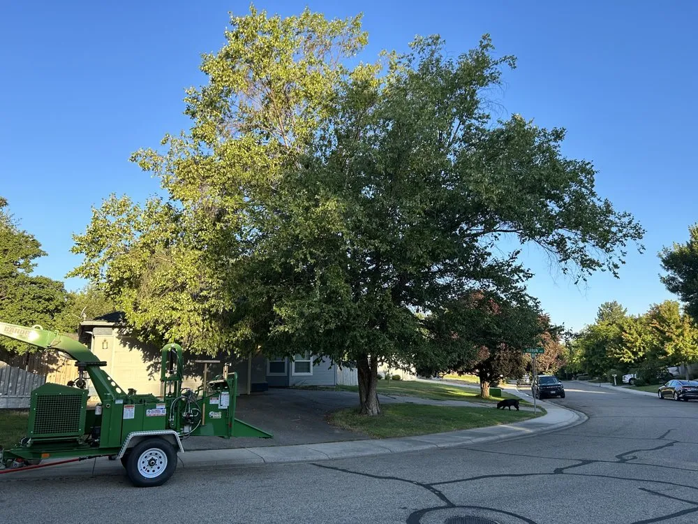 Reliable outdoor landscaping in Nampa, ID by Workman Tree and Landscaping