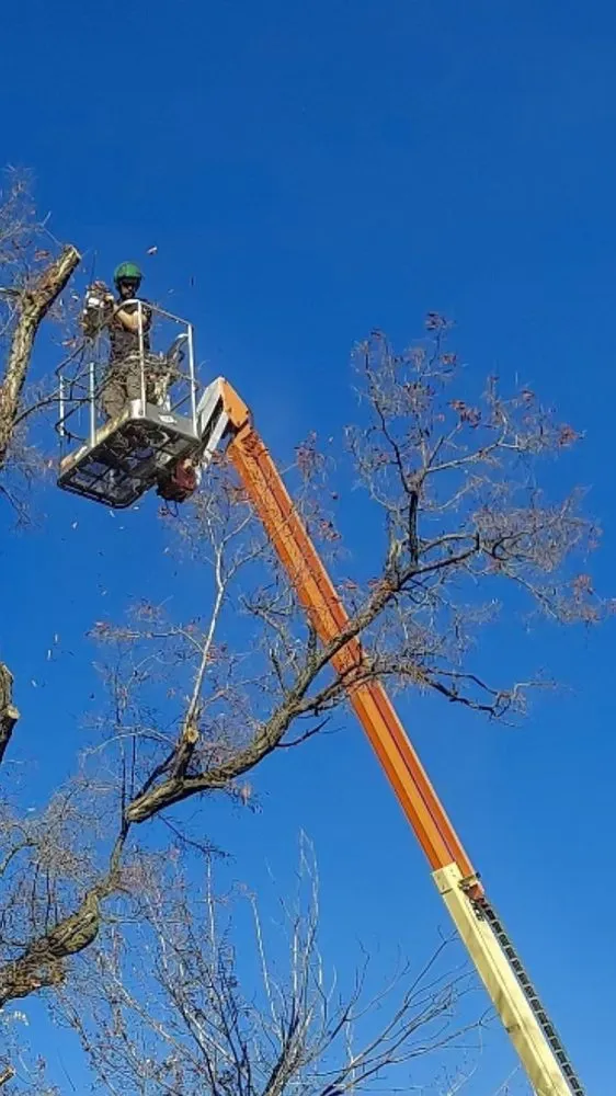 Custom outdoor landscaping with custom design in Nampa, ID by Workman Tree and Landscaping