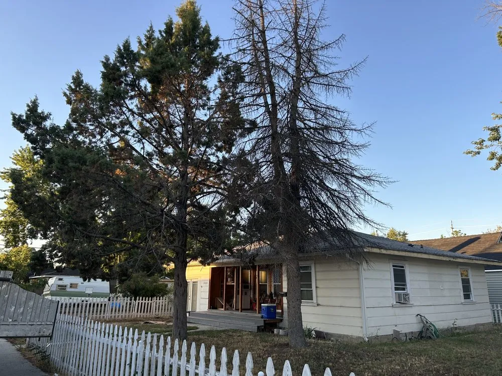 Affordable yard cleanup service in Nampa, ID - Workman Tree and Landscaping