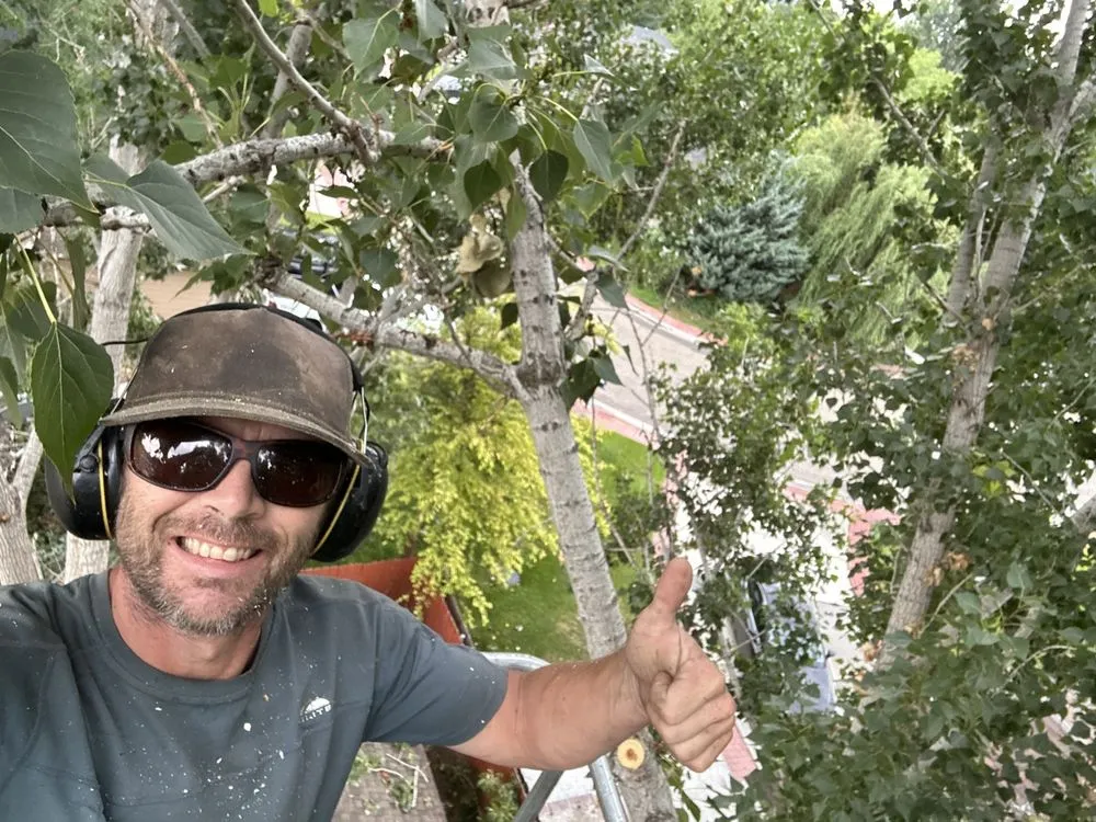 Expert landscaping services for year-round maintenance in Nampa, ID by Workman Tree and Landscaping